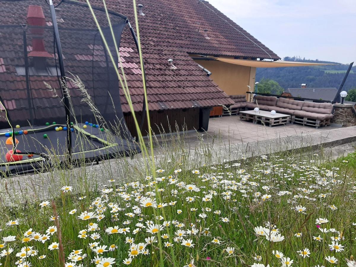 Na Budarce Paseky nad Jizerou Exterior photo